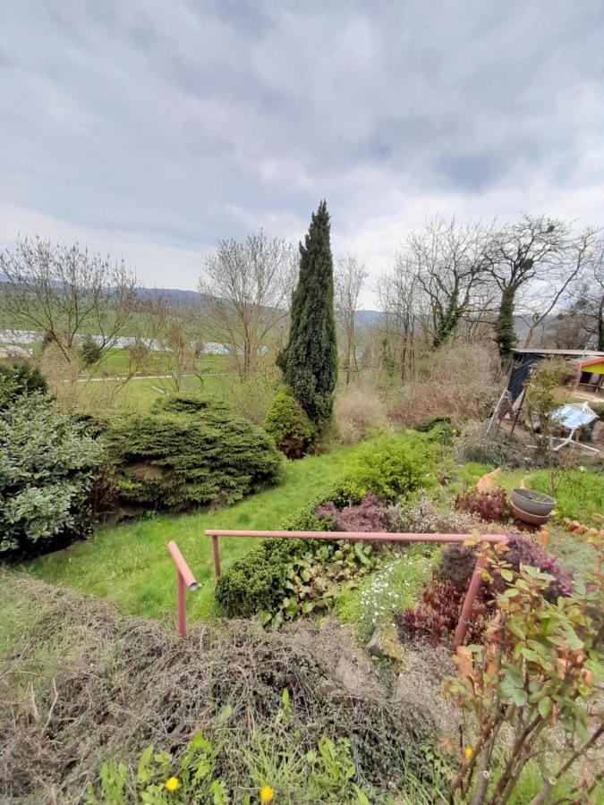 Why Not Strandblick Polle Exterior foto