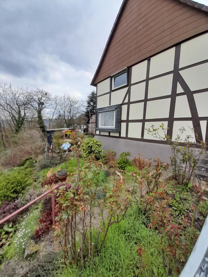 Why Not Strandblick Polle Exterior foto
